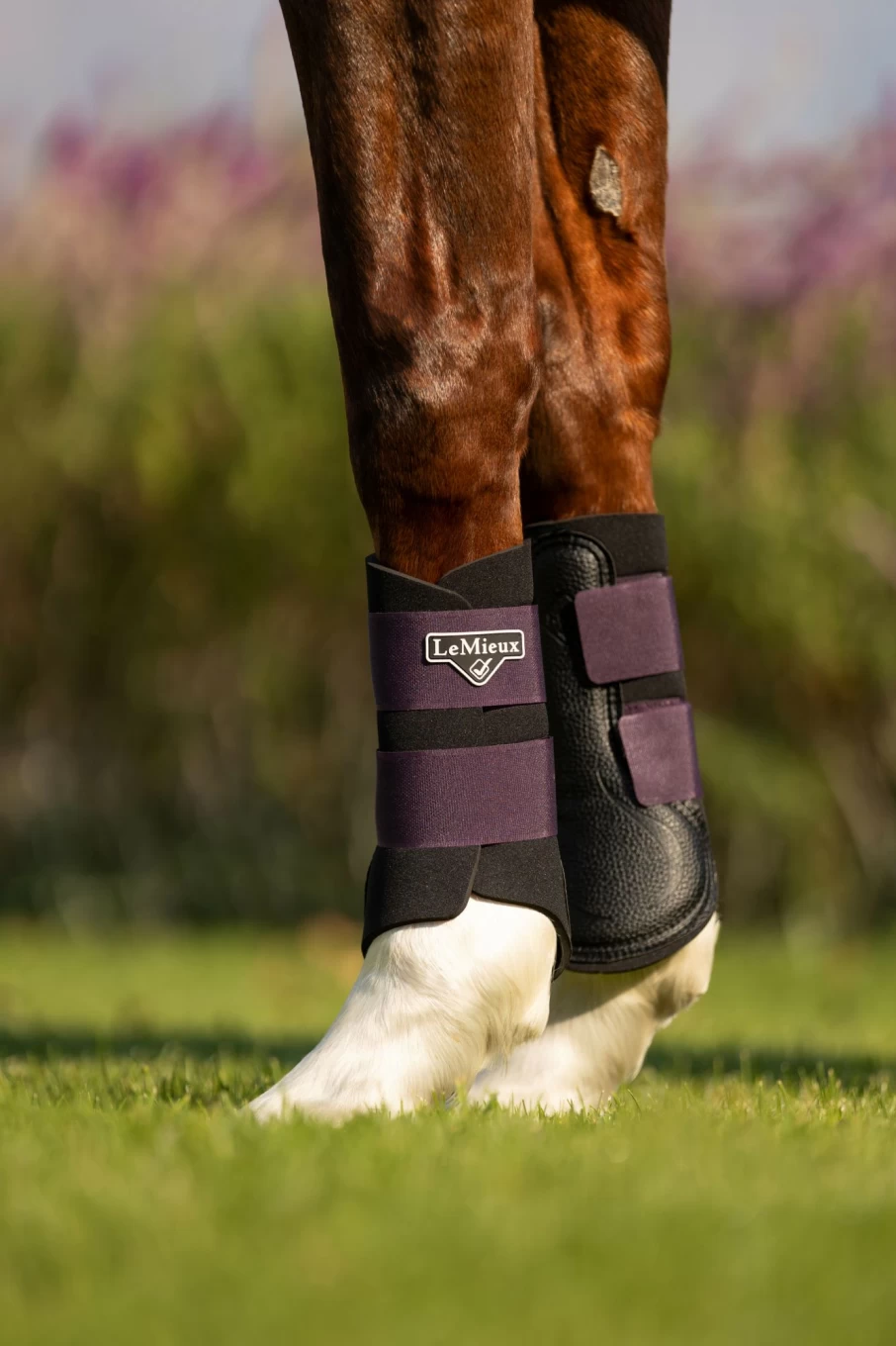 LeMieux Grafter Brushing Boot for Horses - Durable Figaro Design Protective Horse Boots