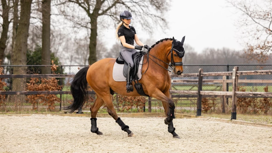 LeMieux Cotton Dressage Square Grey Horse Riding Saddle Pad