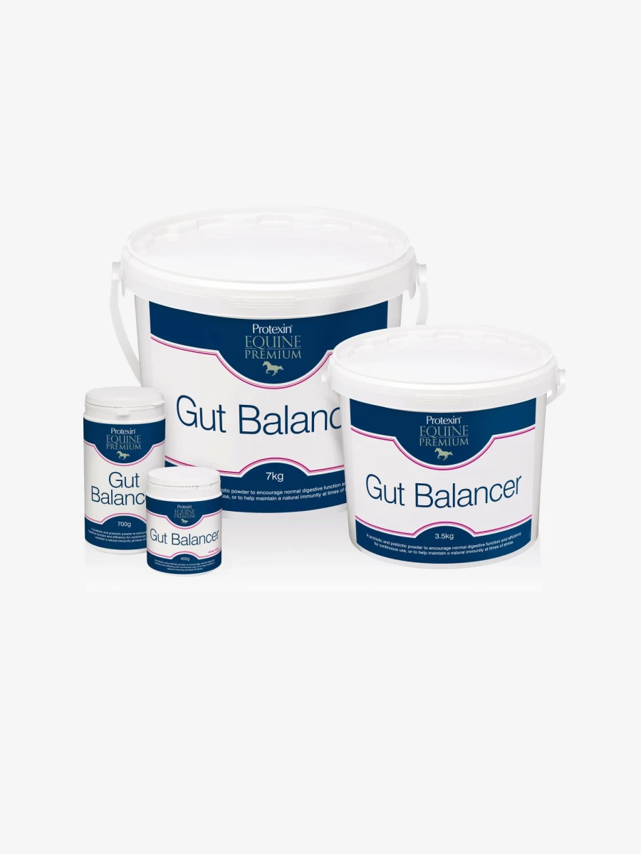 LeMieux Protexin Gut Balancer for Digestive Health - Probiotic Supplement for Dogs & Cats