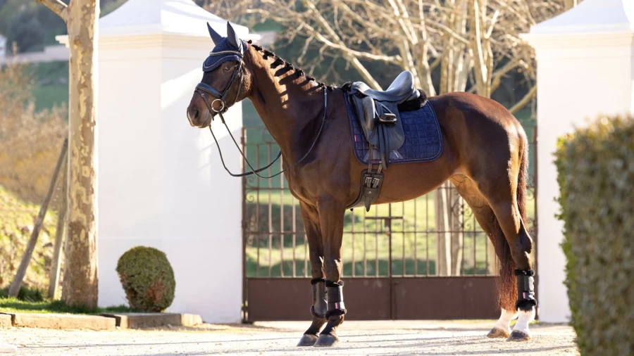 LeMieux Diamante Dressage Square in Navy - Large Equestrian Saddle Pad