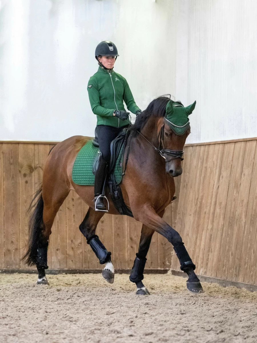 LeMieux Suede Dressage Saddle Pad - Hunter Green Square Contour for Horse Riding