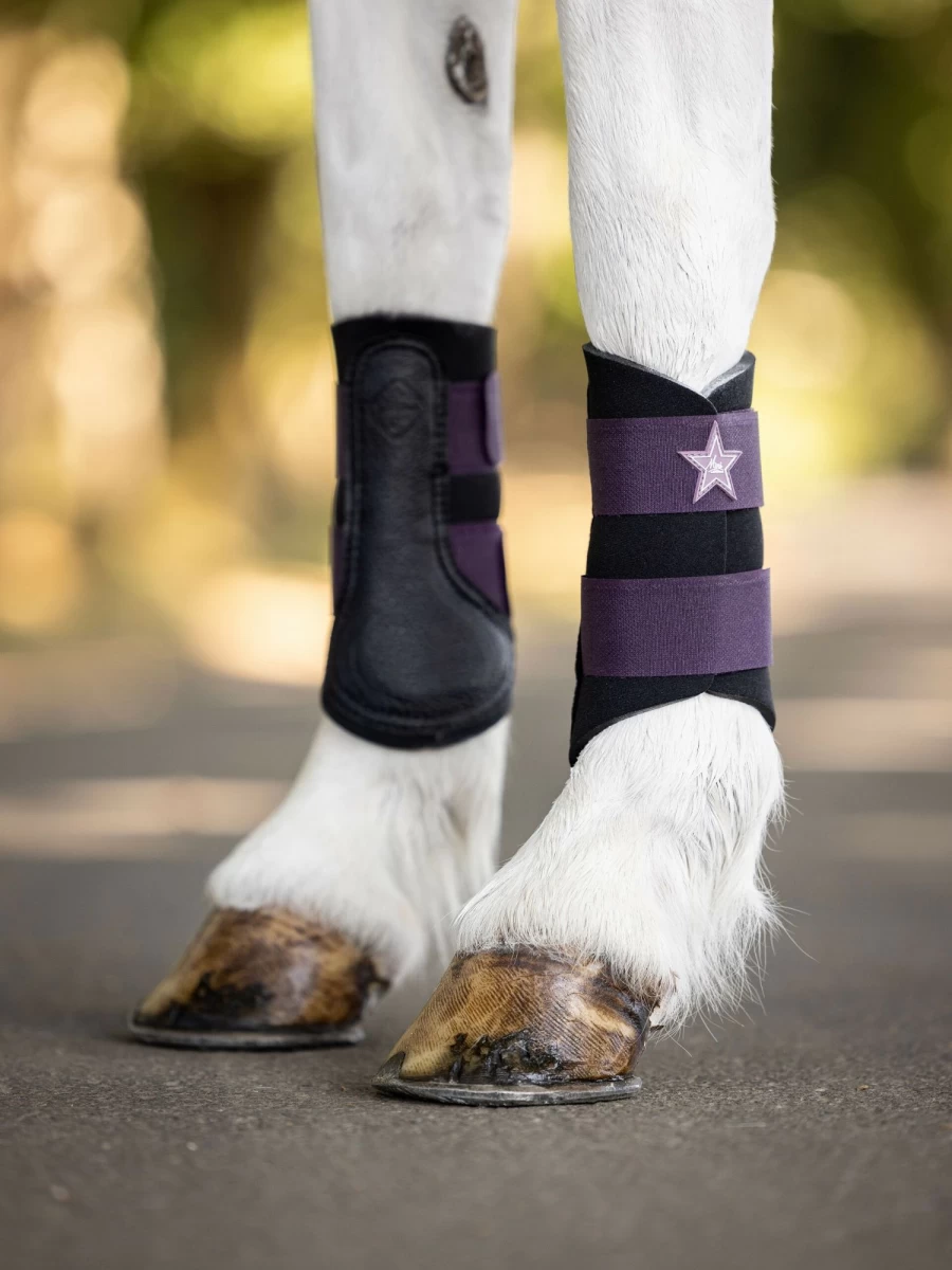 LeMieux Mini Brushing Boots for Horses – Lightweight & Durable Figaro Design