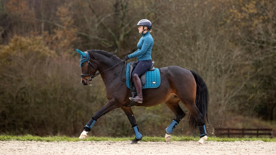 LeMieux Loire Memory Dressage Square Marine Equestrian Training Saddle Pad