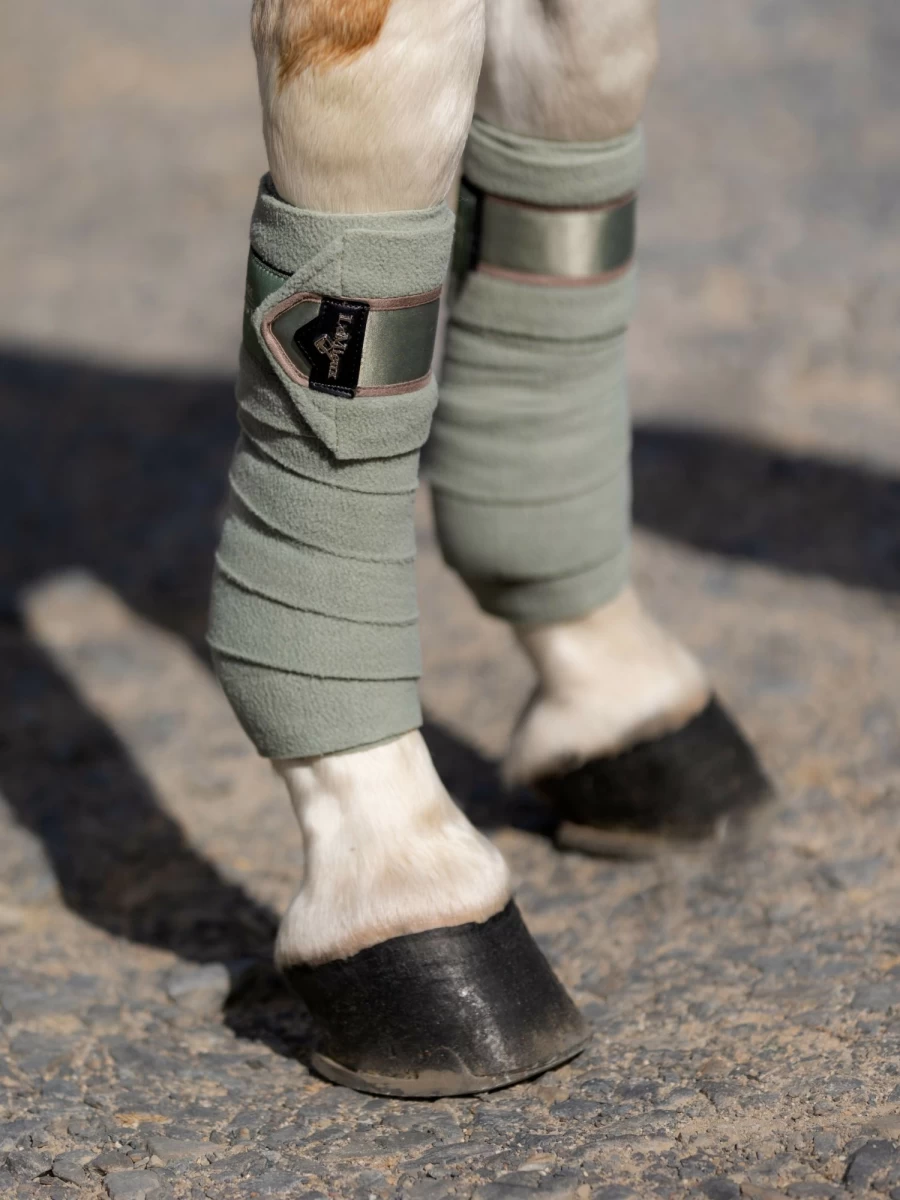 LeMieux Loire Polo Bandages with Fern Design - Horse Riding Support Wraps