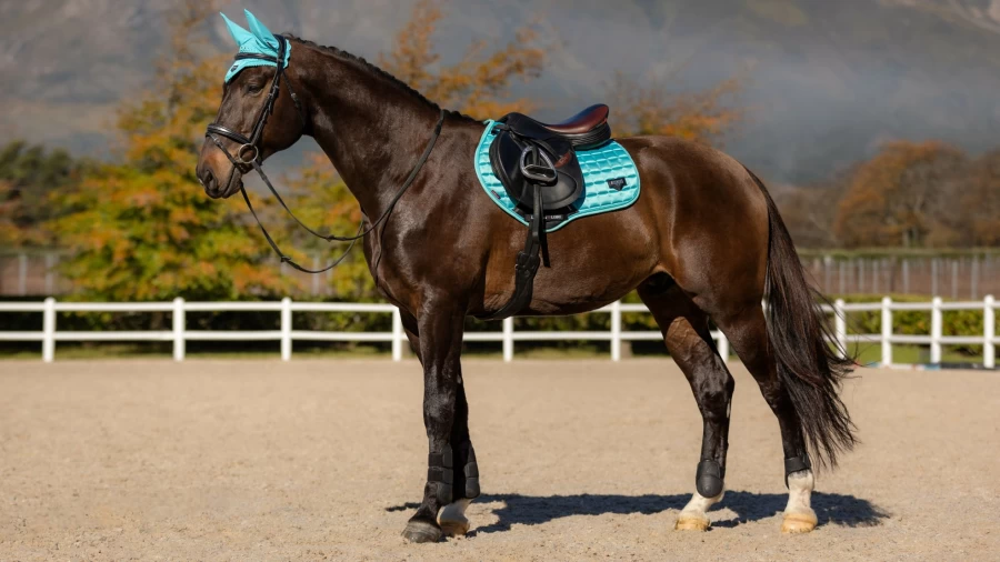 LeMieux Loire Classic Close Contact Square Azure Equestrian Saddle Pad