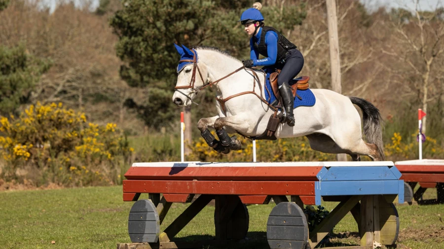 LeMieux Blue Suede Square GP Saddle Pad