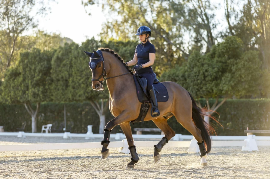 LeMieux Navy Self-Cooling Dressage Square Large - Breathable Horse Riding Apparel