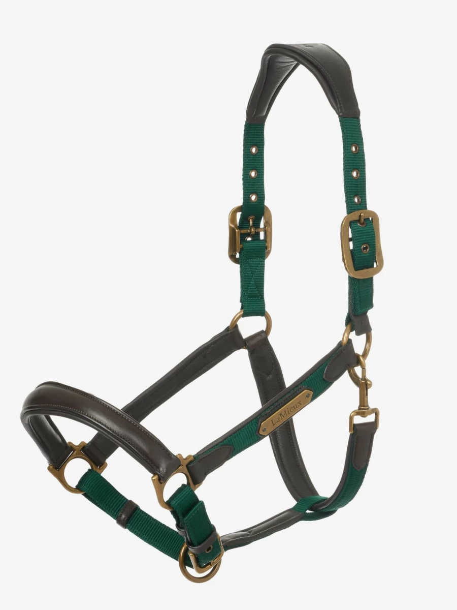 LeMieux Capella Headcollar in Spruce – Premium Horse Headcollar for Comfort and Style