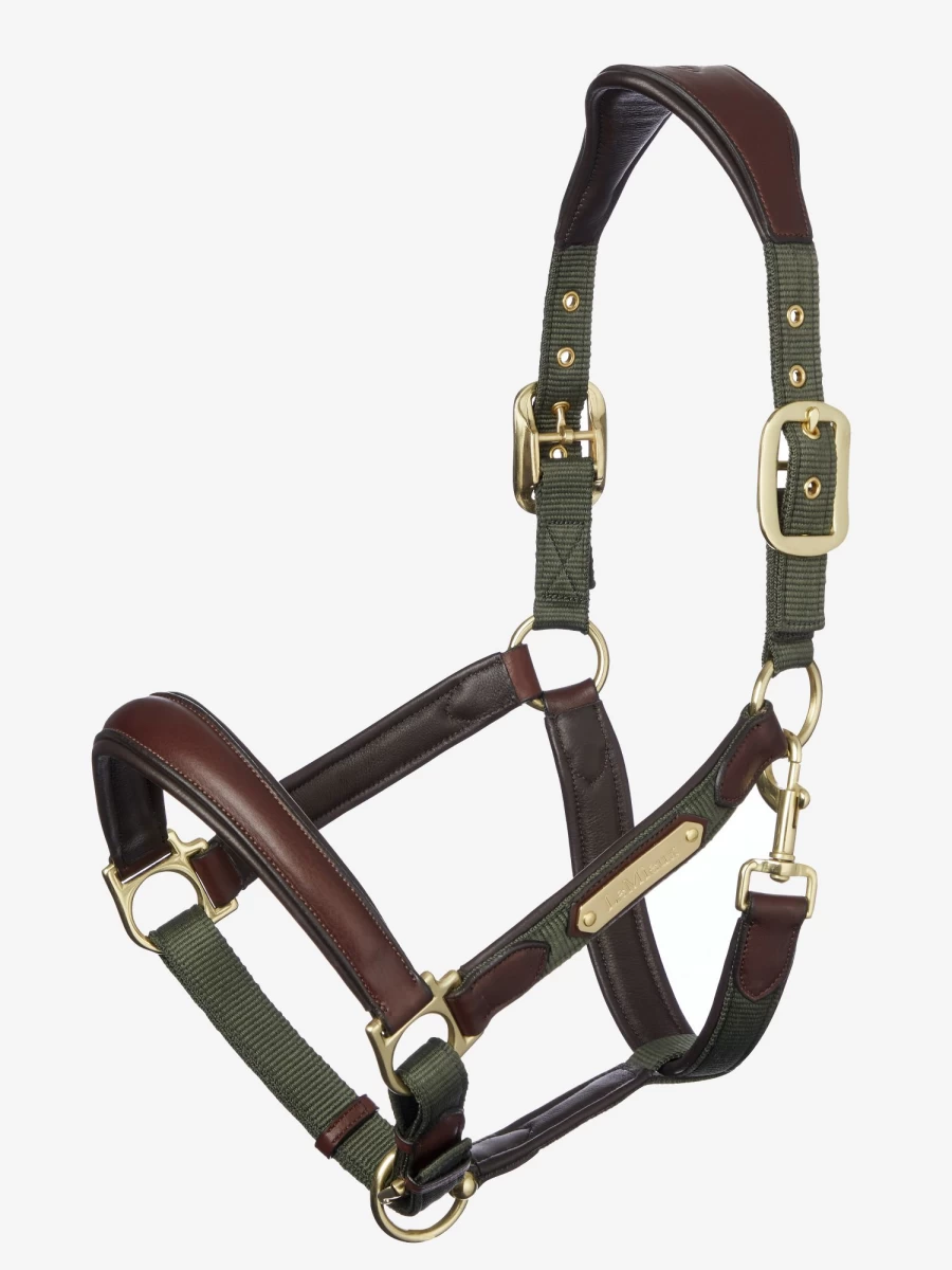 LeMieux Capella Headcollar in Moss Green – Premium Horse Headcollar for Comfort and Style