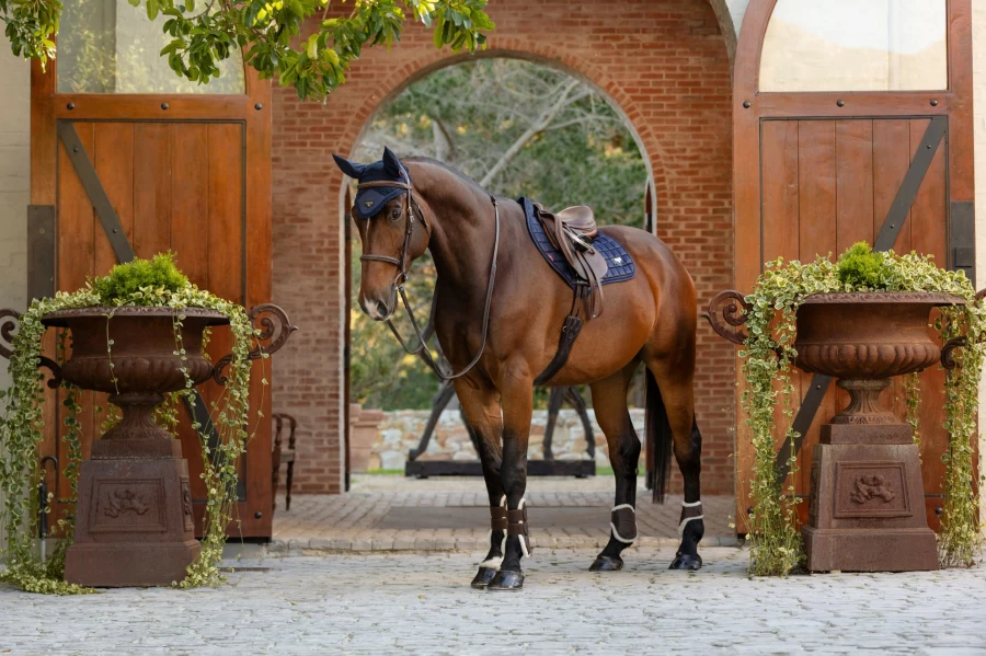 LeMieux Loire Classic Close Contact Square Navy Equestrian Saddle Pad