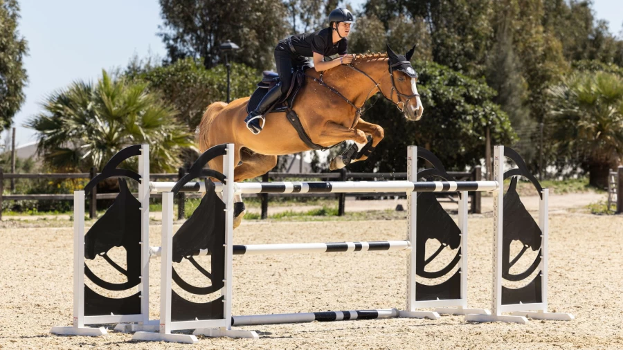 LeMieux Classic Black Square Jump Equestrian One Size Riding Boots