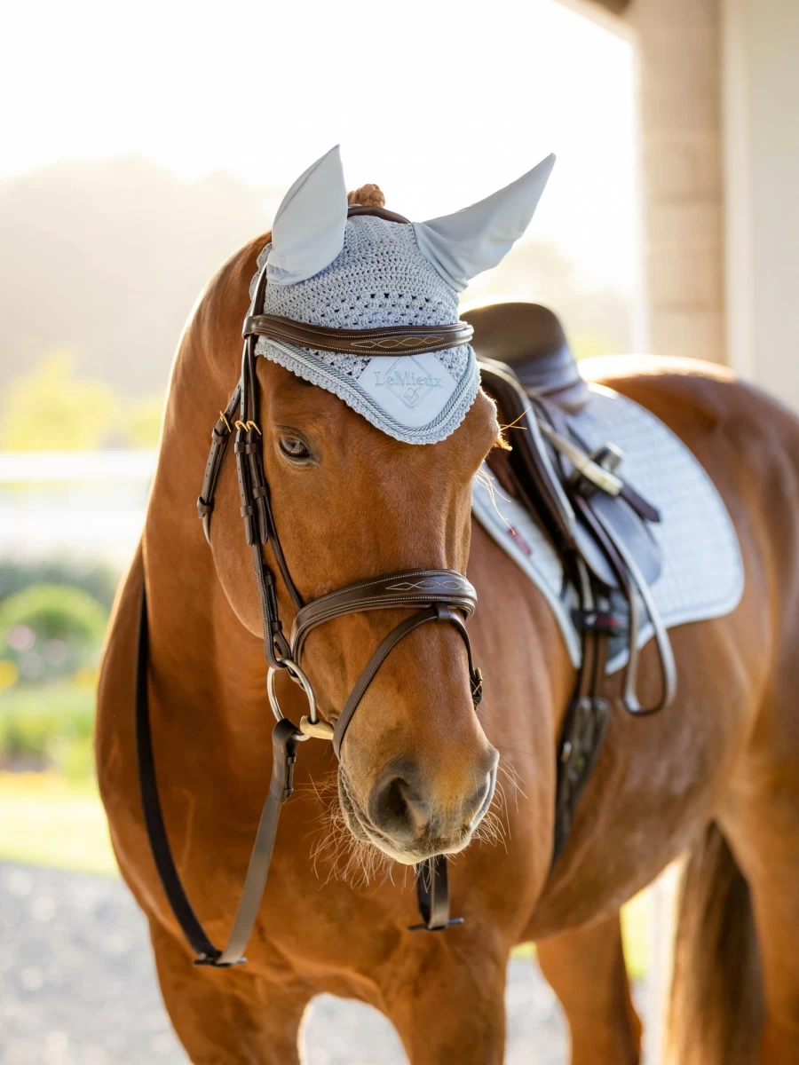 LeMieux Classic Fly Hood Mist – Lightweight Horse Fly Spray for Summer Protection