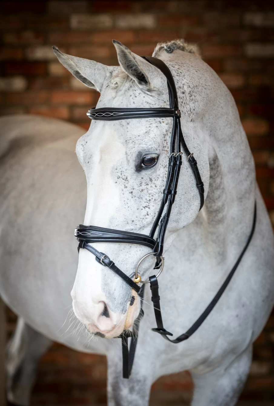 LeMieux Kudos Competition Flash Bridle in Black – Premium Equestrian Bridle for Show Jumping
