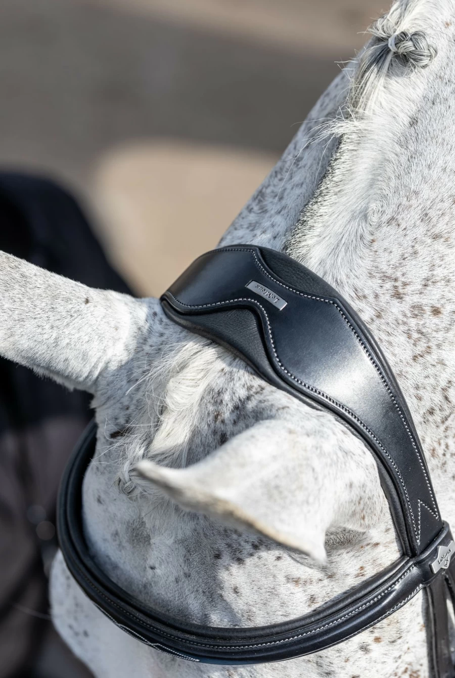 LeMieux Kudos Competition Flash Bridle in Black – Premium Equestrian Bridle for Show Jumping