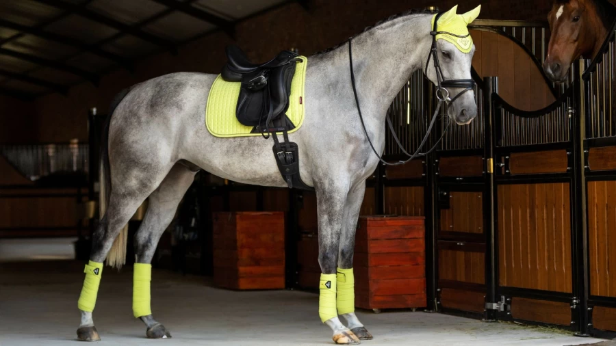 LeMieux Suede Dressage Saddle Pad Square Kiwi for Horse Riding
