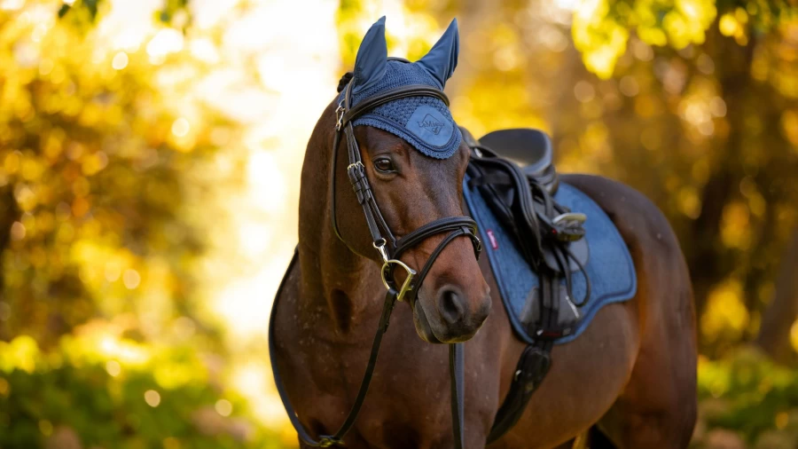LeMieux Classic Fly Hood Atlantic - Premium Horse Fly Protection Hood