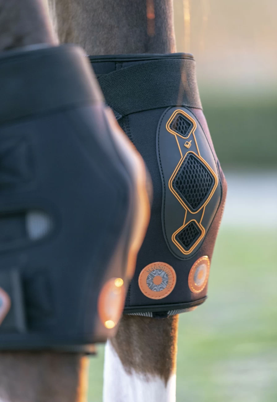 LeMieux Conductive Magnetic Hock Boots for Horses – Therapeutic Equine Support
