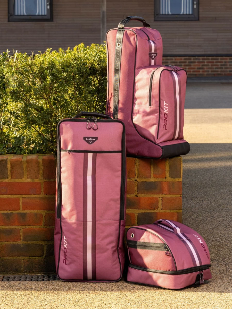 LeMieux 3-Piece Luggage Set - Lightweight Spinner Suitcase with TSA Lock, Durable Hardshell Carry-On & Check-In Bags for Travel