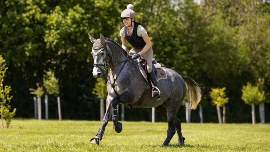LeMieux Loire Classic GP Square Walnut Equestrian Saddle