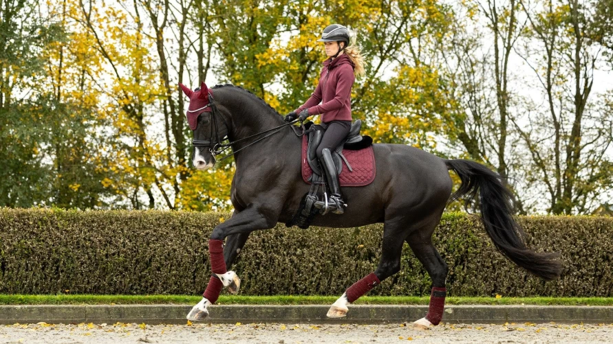 LeMieux Burgundy Crystal Suede Dressage Saddle Pad for Enhanced Comfort & Style