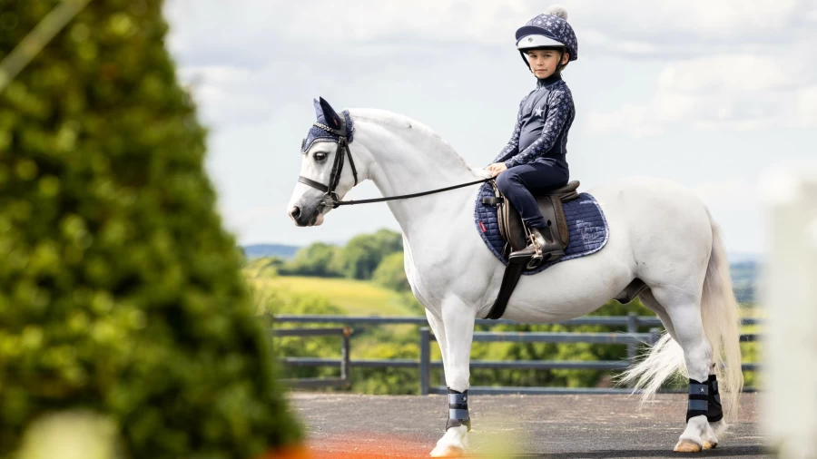 LeMieux Mini Suede Square Jump in Indigo Blue – Premium Horse Riding Equipment