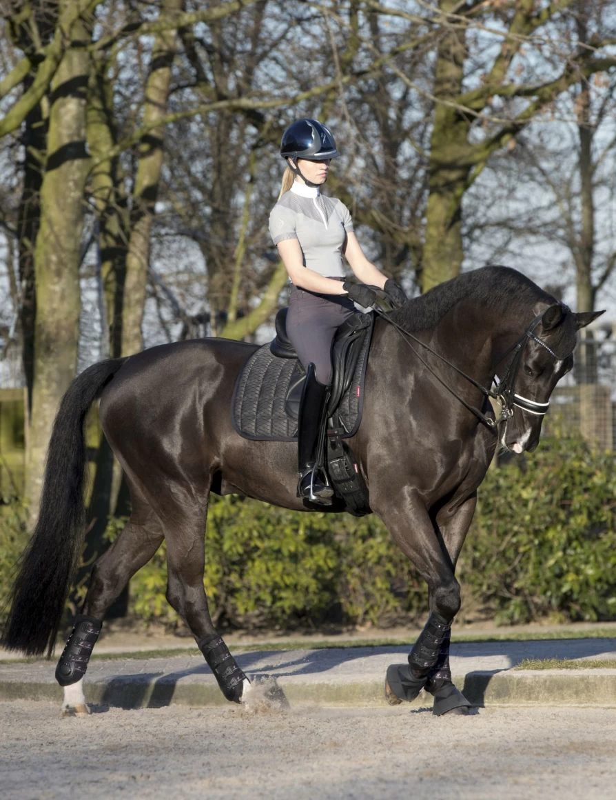 LeMieux Carbon Mesh Dressage Square - Breathable Black Large Horse Riding Pad