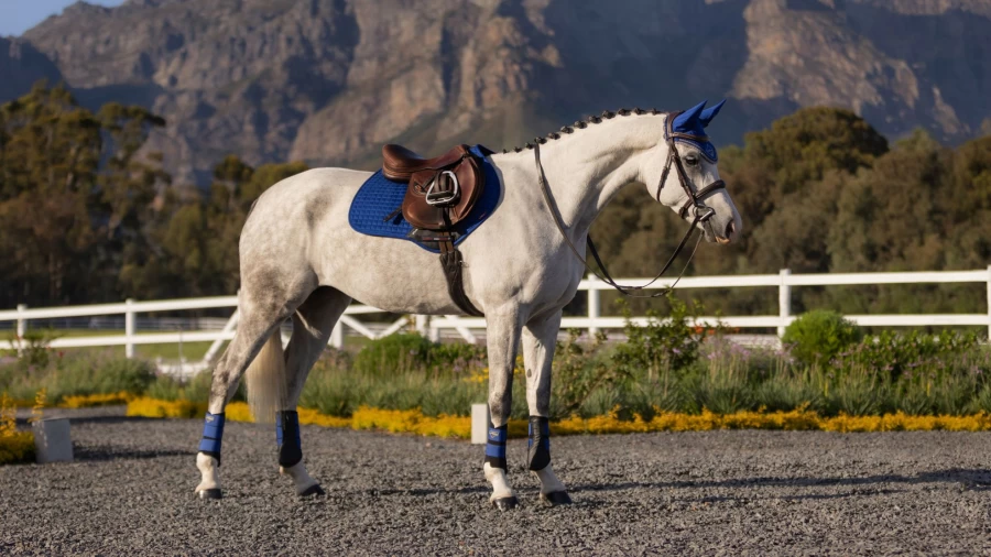 LeMieux Suede Square Close Contact Saddle Pad for Horses