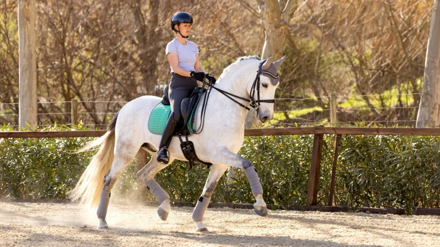 LeMieux Self-Cooling Dressage Square Pad with Spearmint - Large