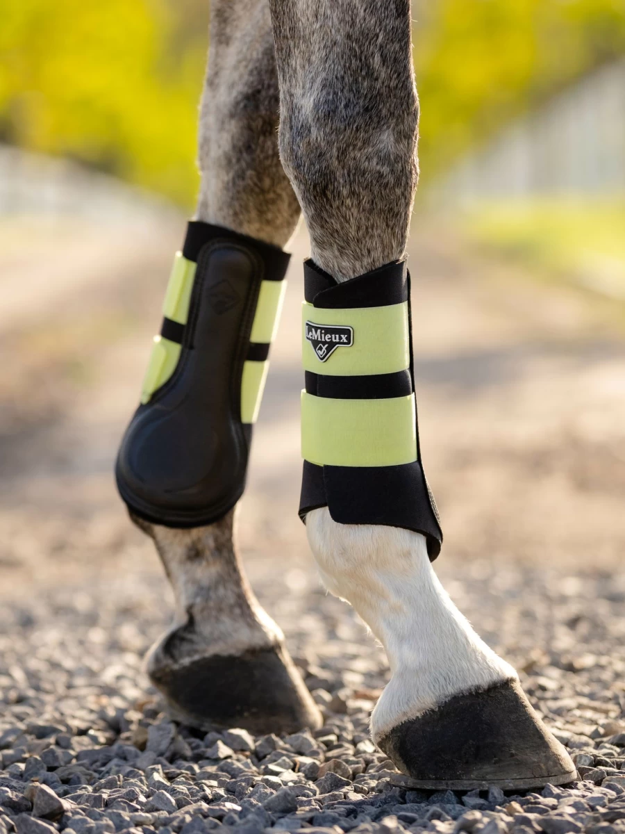 LeMieux Grafter Brushing Boot Kiwi - Horse Leg Protection for Training & Competition