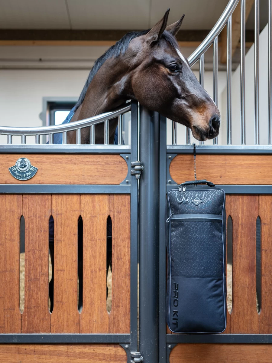 LeMieux Elite Pro Black Bridle Bag - Premium Equestrian Horse Riding Accessory