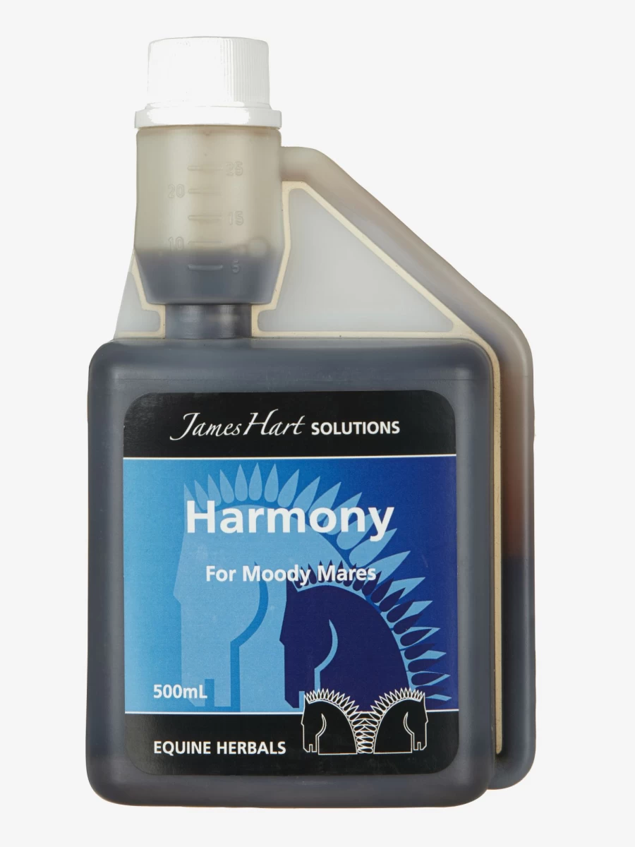 LeMieux Harmony Equestrian Riding Wear – Premium Comfort & Style for Equestrians