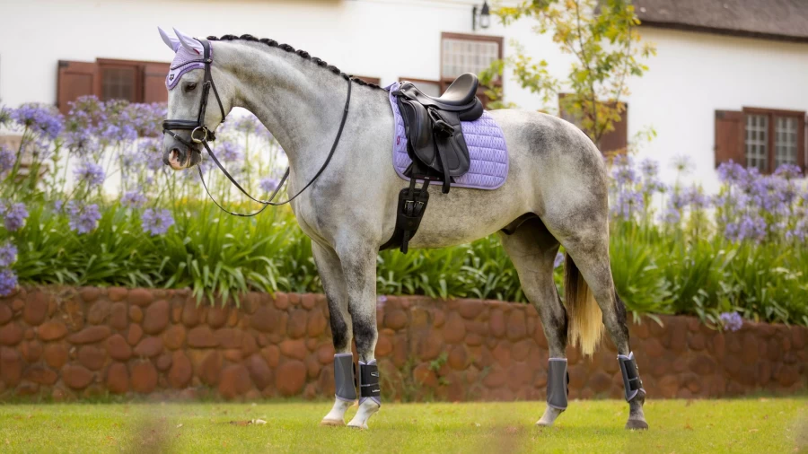 LeMieux Carbon Mesh Dressage Square Large - Breathable Equestrian Saddle Pad for Horse Riding