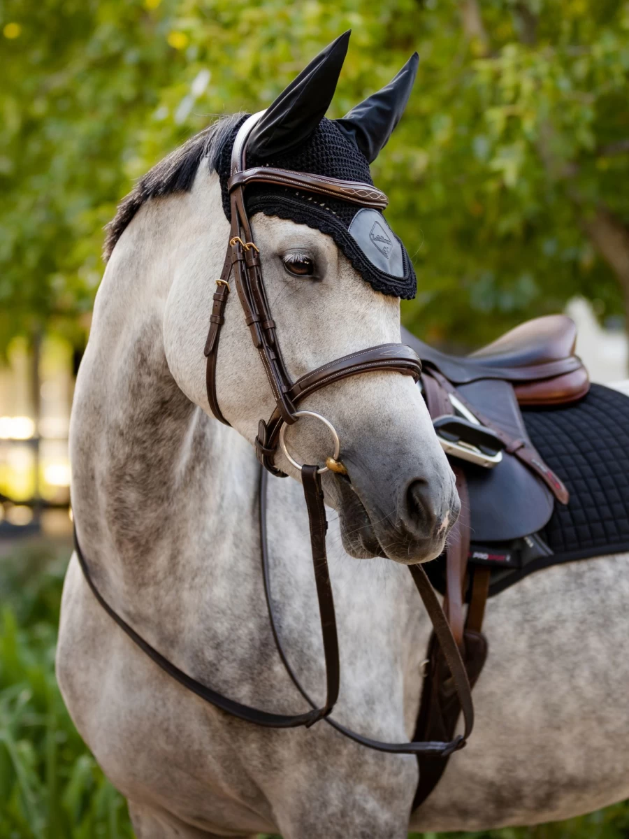 LeMieux Elite Fly Hood - Lightweight Breathable Horse Fly Mask in Black for Superior Sun & Insect Protection