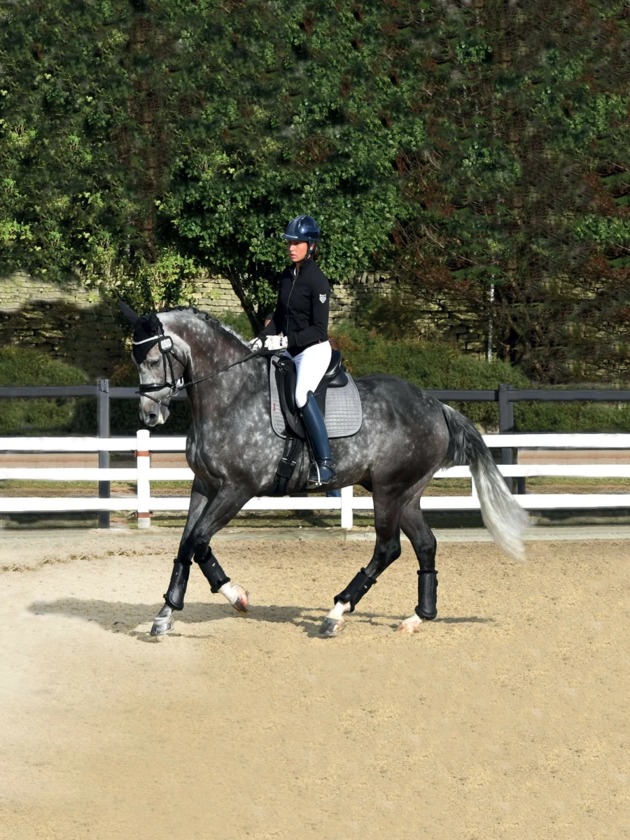 LeMieux Grey Square Dressage Saddle Pad for Sensitive Horses - Large Size