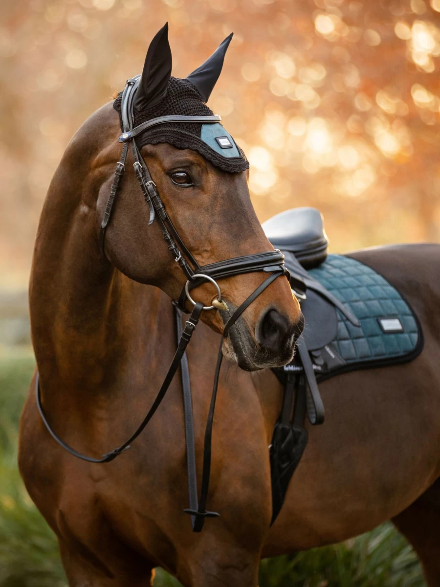 LeMieux Rhone Fly Hood in Petrol Blue – Lightweight Horse Fly Protection