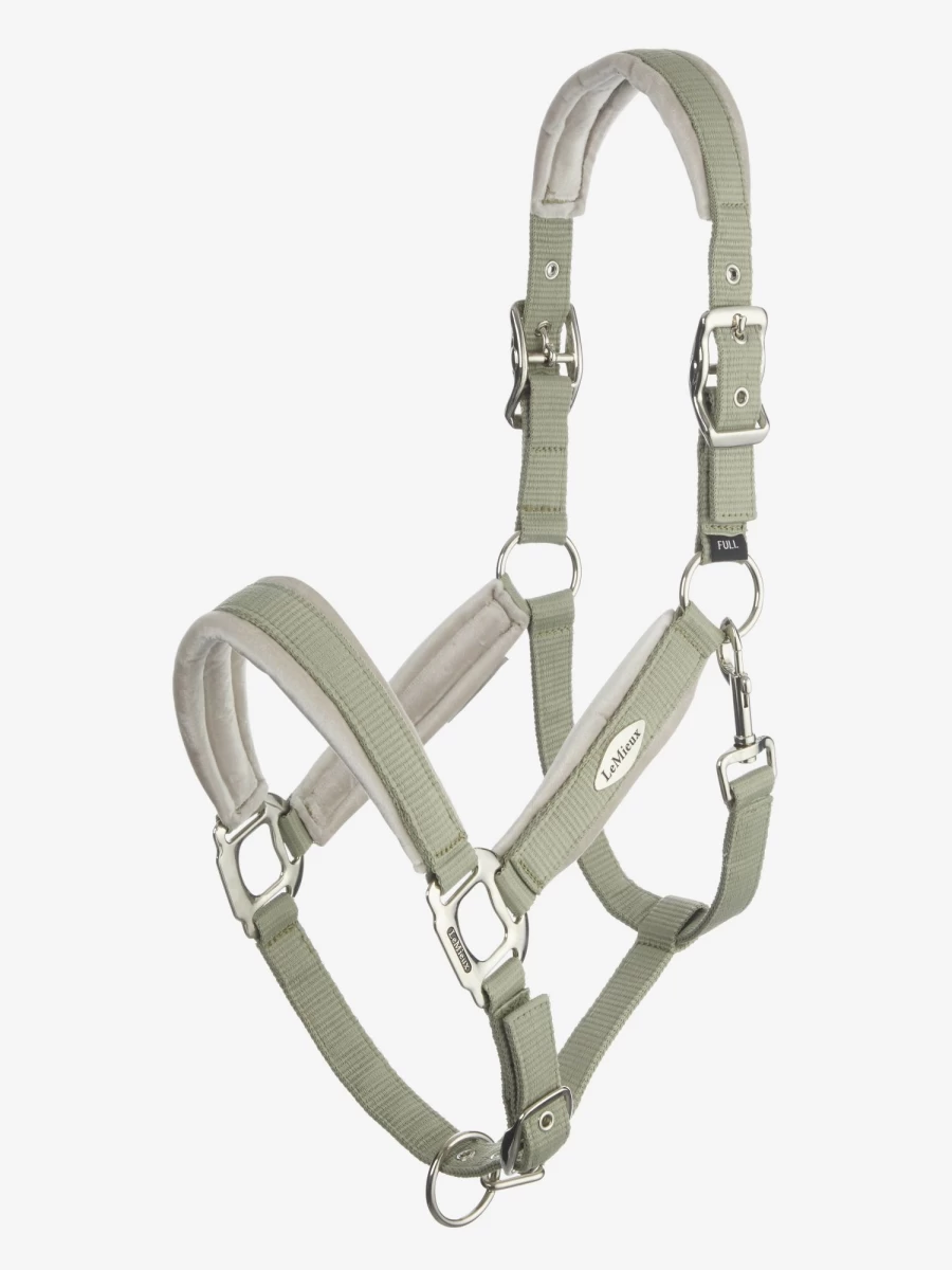 LeMieux Versailles Equestrian Headcollar with Fern Design for Horses