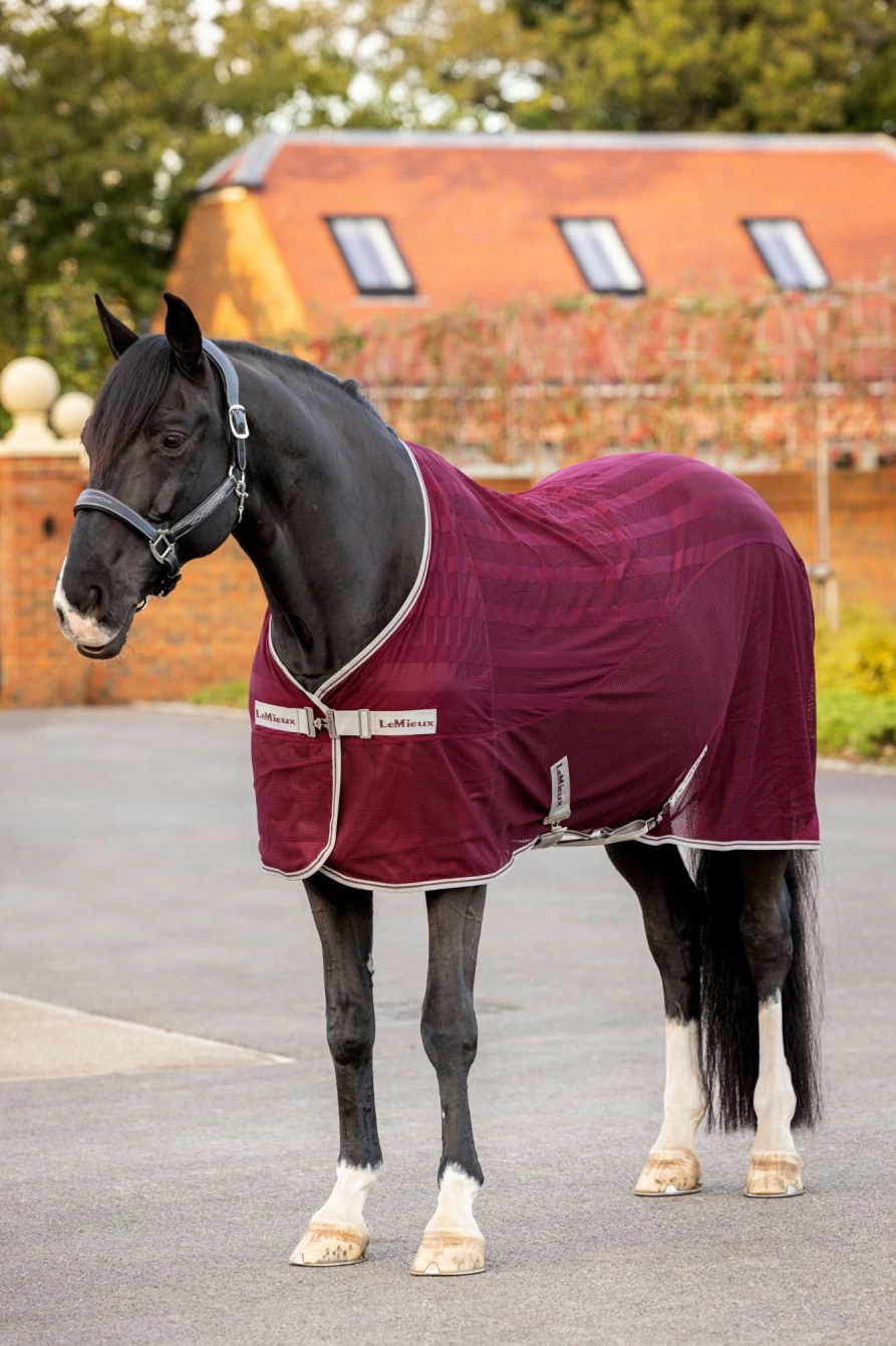 LeMieux Arika Air-Tek Cooling Sheet Burgundy – Lightweight Breathable Horse Rug