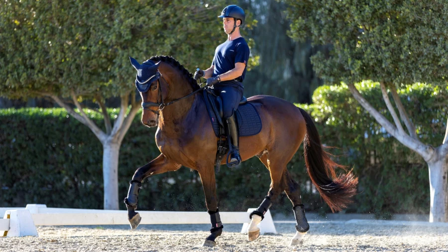 LeMieux Cool Grip Dressage Saddle Pad - Navy Blue, One Size, Breathable & Non-Slip Horse Riding Pad