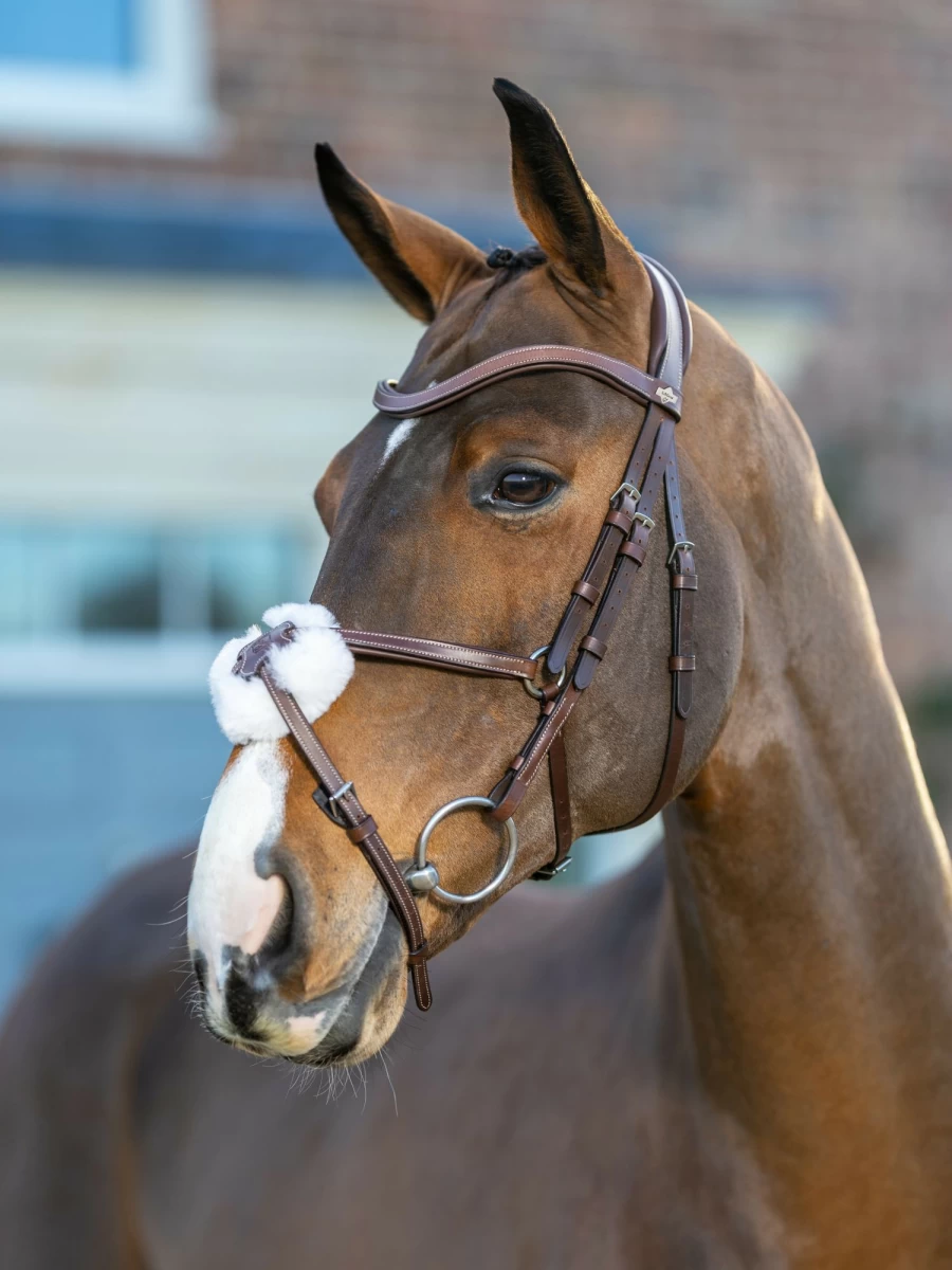 LeMieux Arika Grackle Bridle in Havana Brown with Silver Hardware