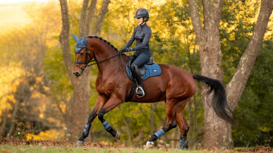 LeMieux Loire Classic GP Square Atlantic Waterproof Equestrian Saddle Pad