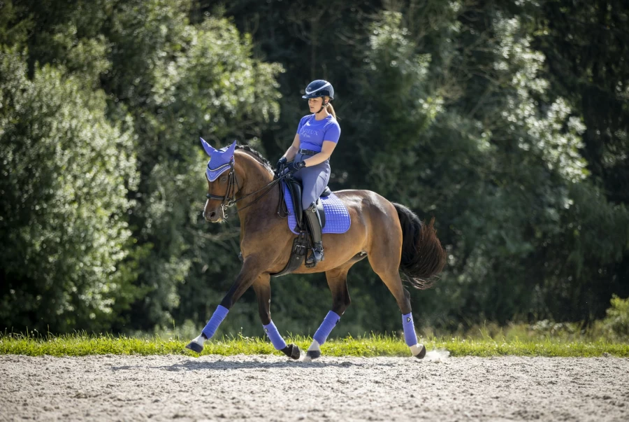 LeMieux Suede Dressage Square Saddle Pad in Bluebell - Premium Equestrian Blue Bell Design