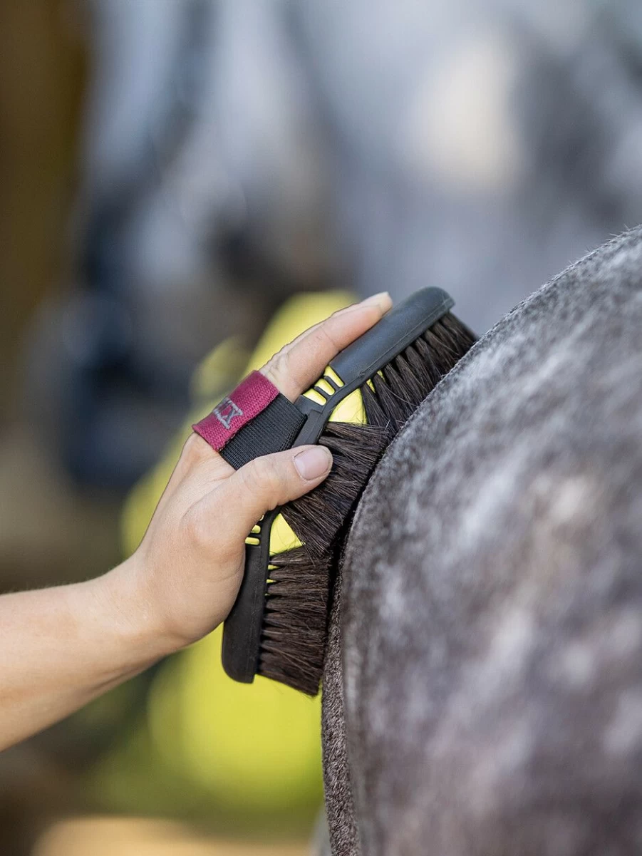 LeMieux Prokit Lite Essential Horse Grooming Kit for Basic Care