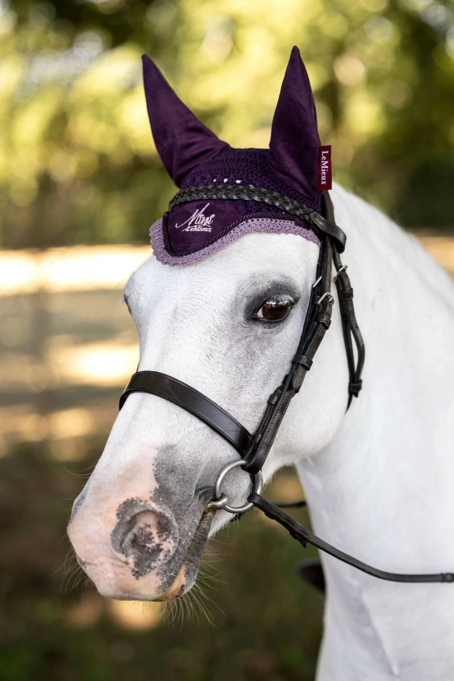LeMieux Mini Fly Hood Fig - Lightweight Horse Fly Mask with UV Protection