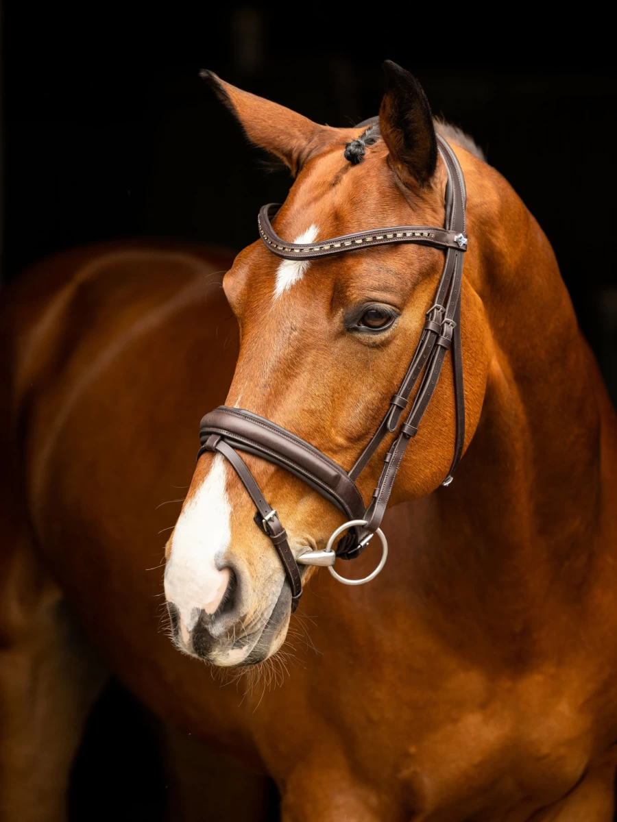 LeMieux Arika Dressage Bridle in Brown with Silver Accents for Equestrian Riding