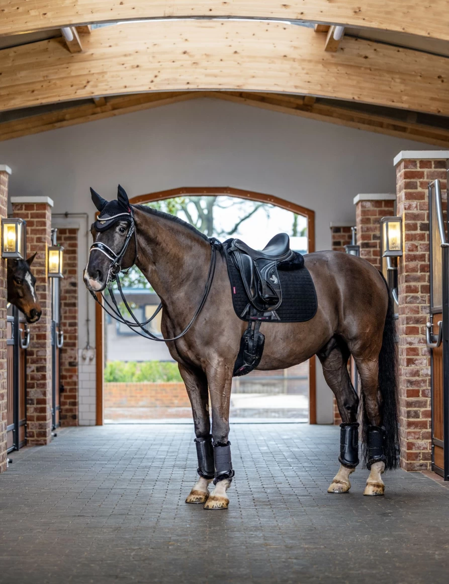 LeMieux Black Suede Dressage Saddle Pad Square Contour for Horse Riding