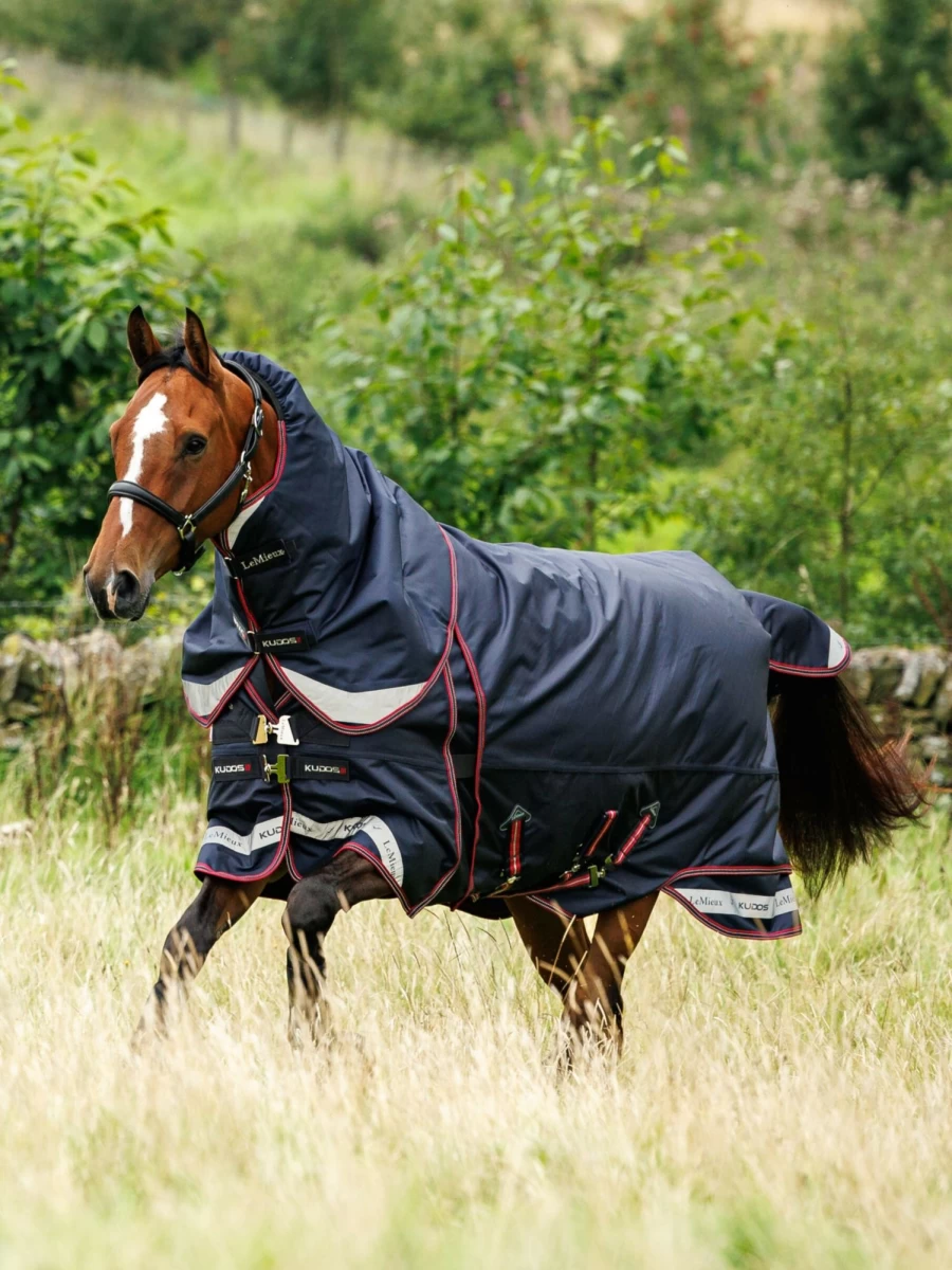 LeMieux Kudos 300G Thermo Layer Turnout Rug - Navy Horse Blanket for Cold Weather