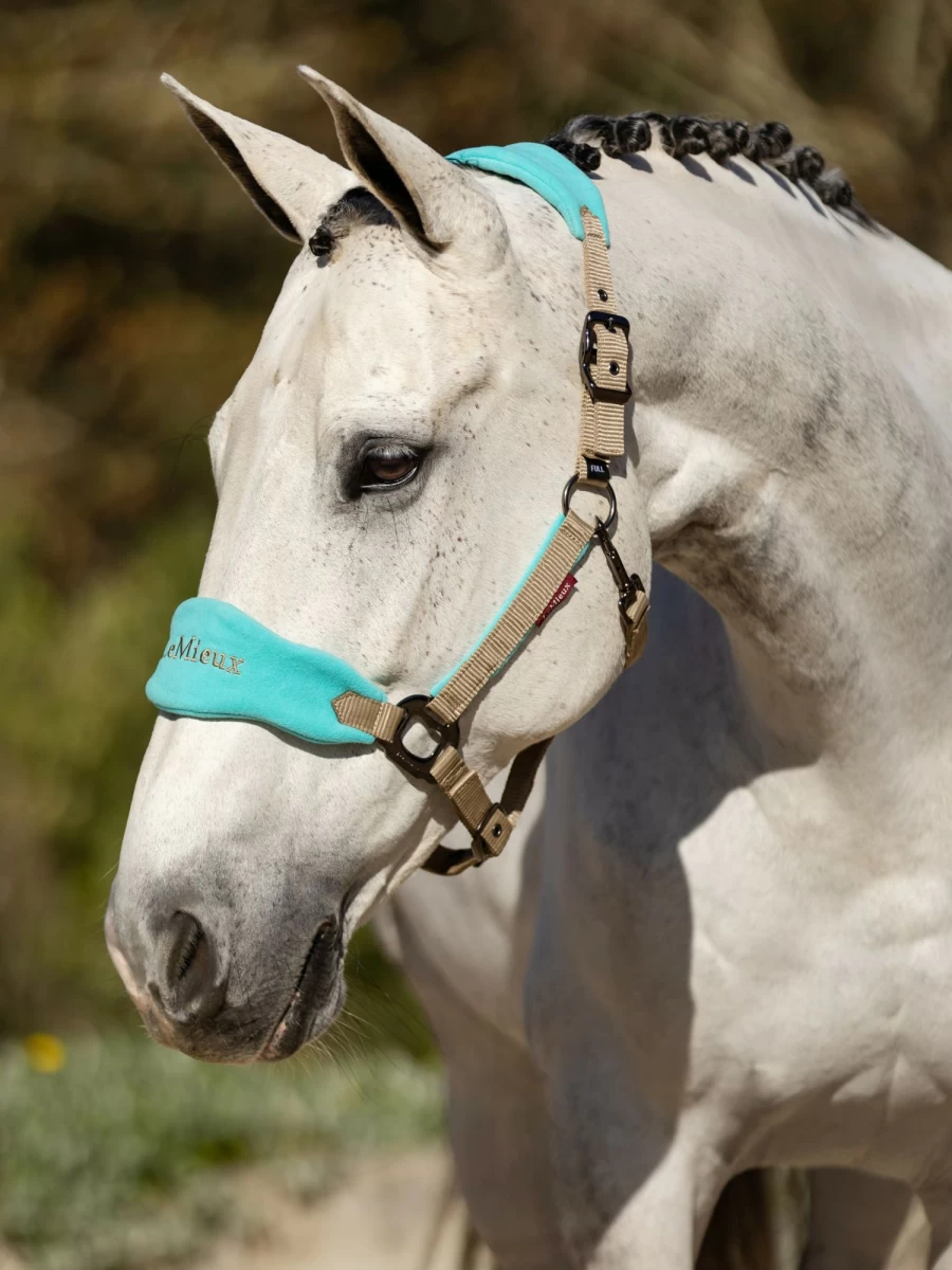 LeMieux Vogue Azure Headcollar and Lead Rope Set for Horses
