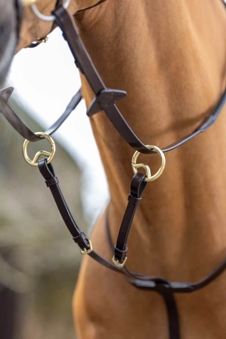 LeMieux Havana/Brass Running Martingale Horse Training Equipment