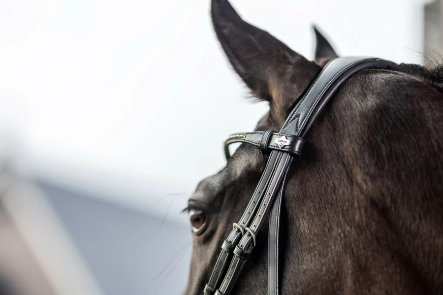 LeMieux Kudos Classic Dressage Bridle - Premium Black Equestrian Bridle for Dressage Riding