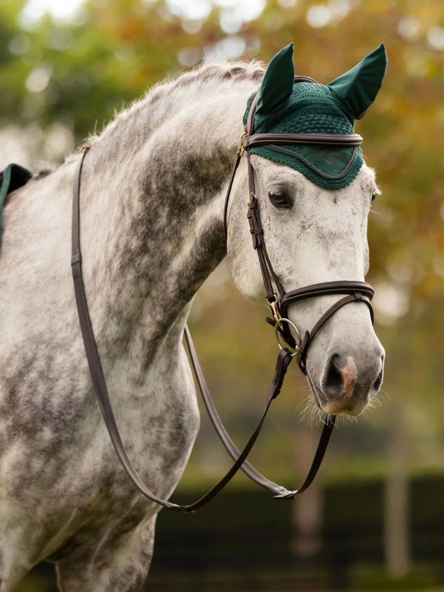 LeMieux Classic Fly Hood Spruce – Premium Horse Fly Protection